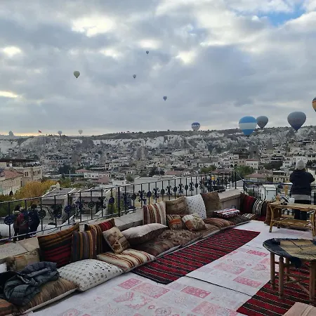 فندق فينيارد كايف 2*