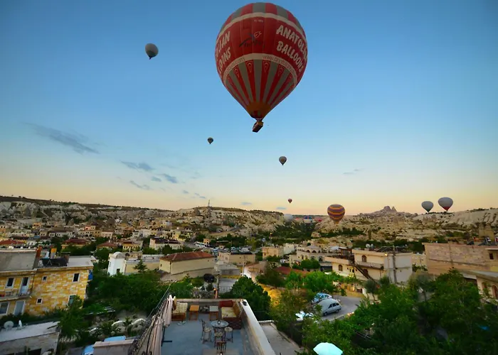 Vineyard Cave מלון