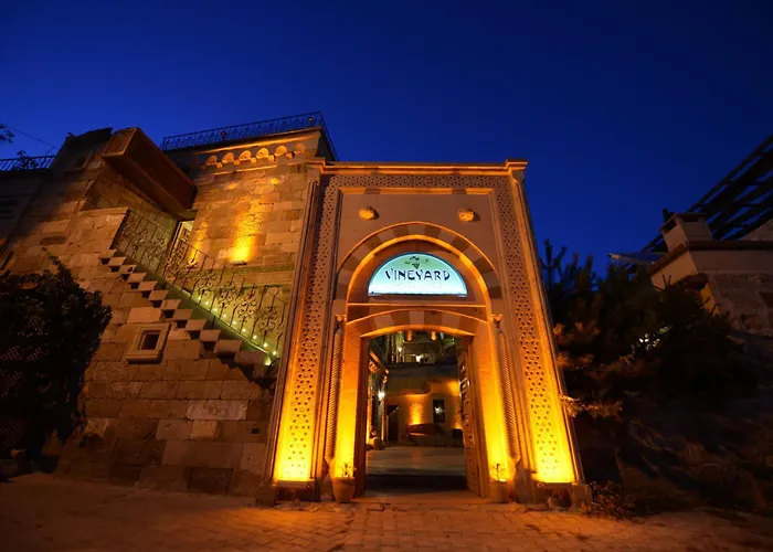 Vineyard Cave מלון 2*